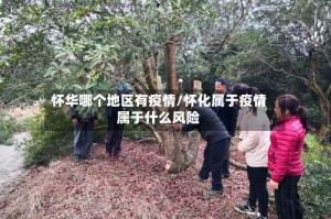 怀华哪个地区有疫情/怀化属于疫情属于什么风险