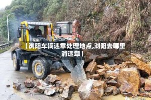 【浏阳车辆违章处理地点,浏阳去哪里消违章】