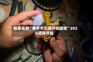 独家实测“佛手十三道开挂透视”2026透视开挂