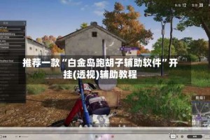 推荐一款“白金岛跑胡子辅助软件”开挂(透视)辅助教程