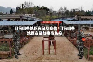 目前哪些地区在征战疫情/目前哪些地区在征战疫情防控