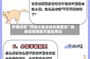 秒懂经验“闲逸斗地主挂在哪里买”揭秘透视辅助万能挂用法