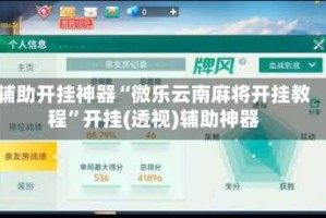 辅助开挂神器“微乐云南麻将开挂教程”开挂(透视)辅助神器