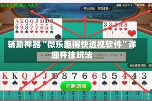 辅助神器“微乐跑得快透视软件”详细开挂玩法