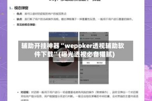辅助开挂神器“wepoker透视辅助软件下载”(曝光透视必备猫腻)