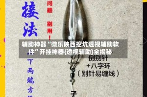 辅助神器“微乐陕西挖坑透视辅助软件”开挂神器{透视辅助}全揭秘