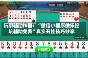 玩家辅助神器：“微信小程序微乐挖坑辅助免费”真实开挂技巧分享