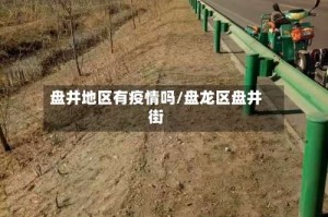 盘井地区有疫情吗/盘龙区盘井街