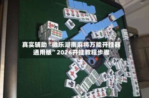 真实辅助“微乐湖南麻将万能开挂器通用版”2026开挂教程步骤