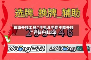 辅助开挂工具“手机斗牛能不能开挂”详细开挂玩法