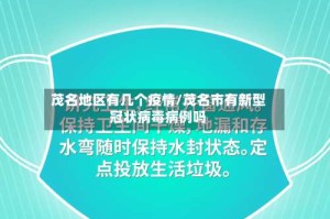 茂名地区有几个疫情/茂名市有新型冠状病毒病例吗