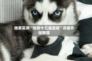 独家实测“哈狗十三道透视”详细开挂教程