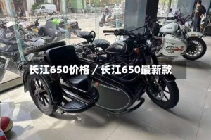 长江650价格／长江650最新款