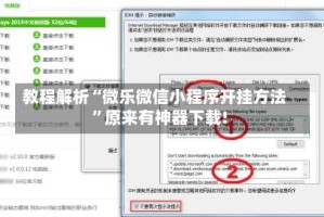 教程解析“微乐微信小程序开挂方法”原来有神器下载!