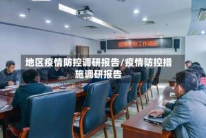 地区疫情防控调研报告/疫情防控措施调研报告