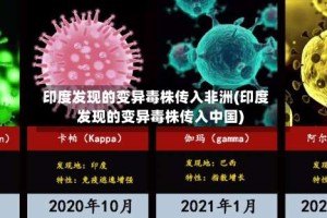 印度发现的变异毒株传入非洲(印度发现的变异毒株传入中国)