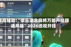 教程辅助!“微乐湖北麻将万能开挂器通用版”2026透视开挂