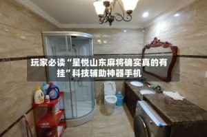 玩家必读“星悦山东麻将确实真的有挂”科技辅助神器手机