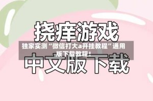 独家实测“微信打大a开挂教程”通用版下载教程！