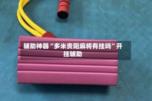 辅助神器“多米贵阳麻将有挂吗”开挂辅助