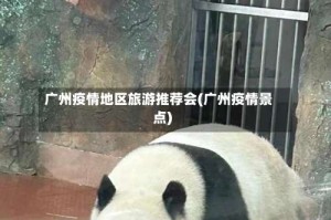 广州疫情地区旅游推荐会(广州疫情景点)