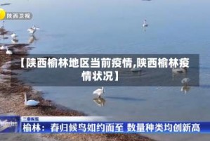 【陕西榆林地区当前疫情,陕西榆林疫情状况】