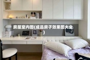 房屋室内图(成品房子效果图大全)