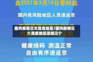 国内疫情三大高危地区/国内疫情三大高危地区是哪三个