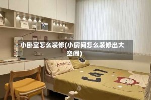 小卧室怎么装修(小房间怎么装修出大空间)