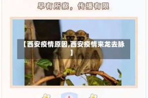 【西安疫情原因,西安疫情来龙去脉】