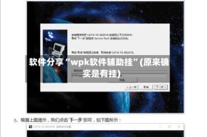 软件分享“wpk软件辅助挂”(原来确实是有挂)