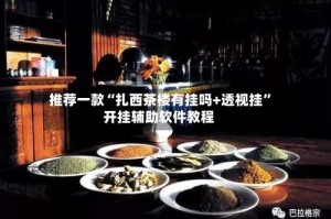 推荐一款“扎西茶楼有挂吗+透视挂”开挂辅助软件教程