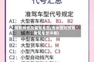 驾照种类及准驾车型(各类型驾照及准驾车型详解)