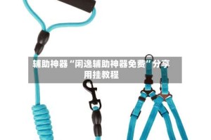 辅助神器“闲逸辅助神器免费”分享用挂教程