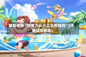 辅助神器“微信大头十三水有挂吗”(详细透视教程)