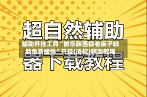 辅助开挂工具“微乐陕西捉老麻子辅助免费插件”开挂(透视)辅助教程