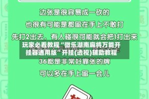 玩家必看教程“微乐湖南麻将万能开挂器通用版”开挂(透视)辅助教程