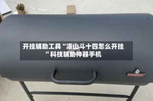 开挂辅助工具“凉山斗十四怎么开挂”科技辅助神器手机