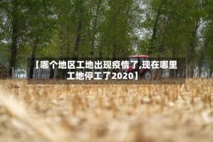 【哪个地区工地出现疫情了,现在哪里工地停工了2020】
