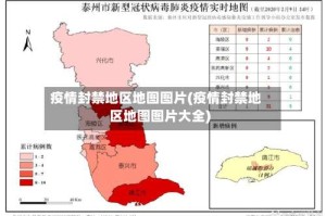 疫情封禁地区地图图片(疫情封禁地区地图图片大全)