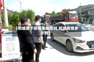 【桐城属于疫情重地区吗,桐城疫情多少例】