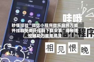 秒懂经验“微信小程序微乐麻将万能开挂器免费开挂器下载安装”揭秘透视辅助万能挂用法