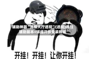 辅助神器“流樱大厅透视”(透视)开挂辅助脚本+详细开挂安装教程