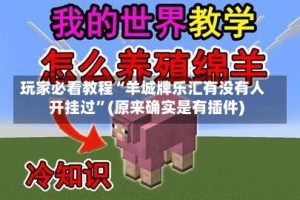 玩家必看教程“羊城牌乐汇有没有人开挂过”(原来确实是有插件)