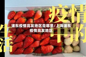 浦东疫情高发地区是哪里/上海浦东疫情高发地区