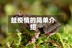 蛙疫情的简单介绍