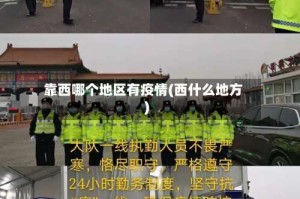 靠西哪个地区有疫情(西什么地方)