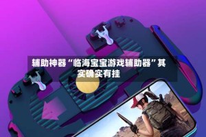 辅助神器“临海宝宝游戏辅助器”其实确实有挂