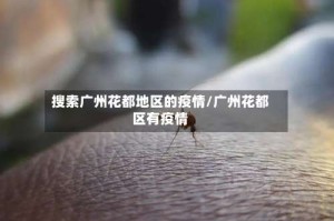 搜索广州花都地区的疫情/广州花都区有疫情