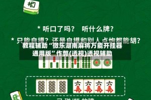 教程辅助“微乐湖南麻将万能开挂器通用版”作弊(透视)透视辅助